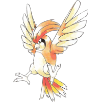 Pidgeotto