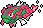 Male Basculegion
